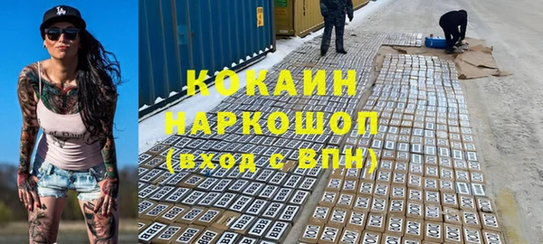 индика Алзамай
