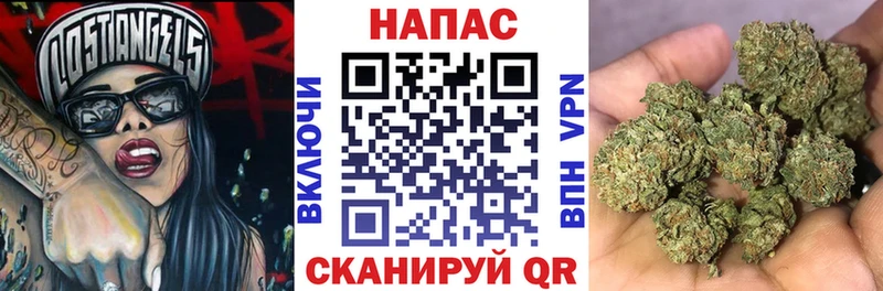 Канабис сатива  hydra маркетплейс  Багратионовск  как найти наркотики 